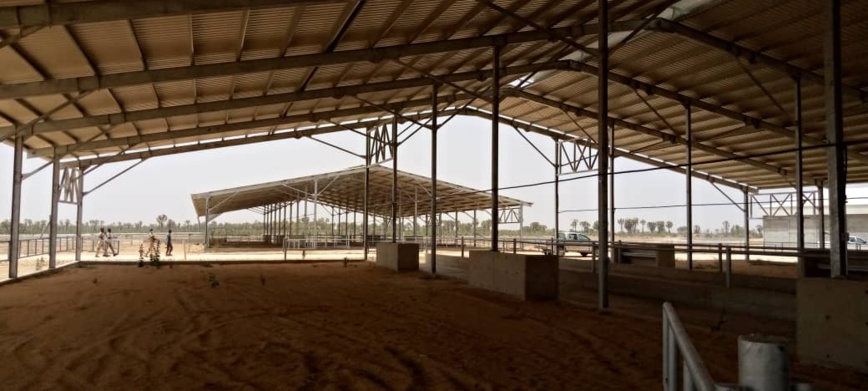 Visite ministérielle au complexe industriel laitier de Mandelia, le 6 mai 2020. © Min. Elevage Visite ministérielle au complexe industriel laitier de Mandelia, le 6 mai 2020. © Min. Elevage