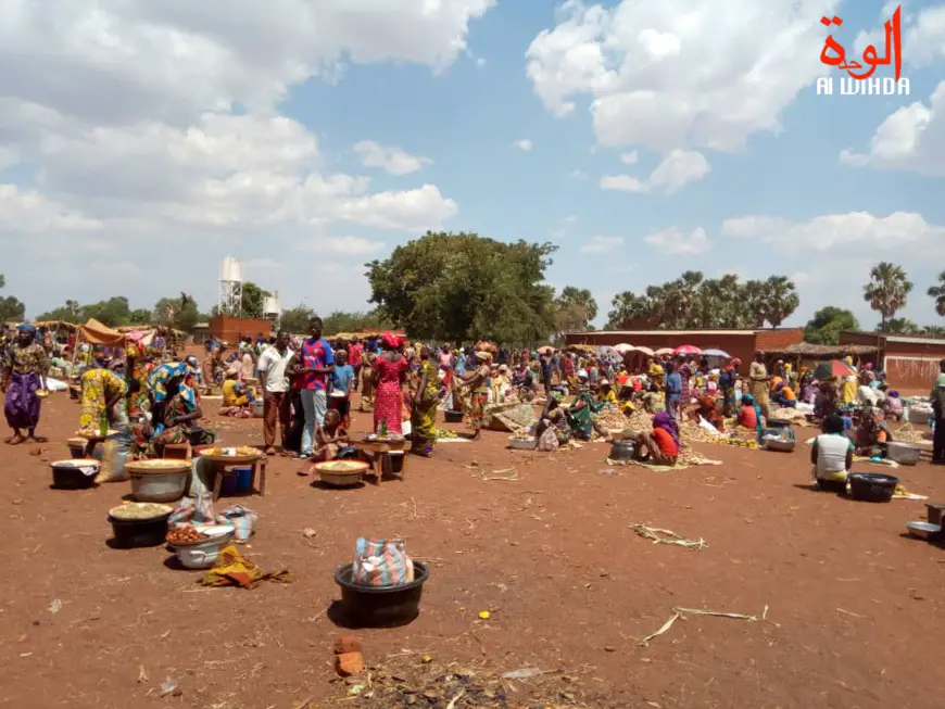 Le marché hebdomadaire de Maïbo dans le canton Bédogo, sous-préfecture de Moundou rural, le 25 avril 2020. Illustration. © Golmen Ali/Alwihda Info