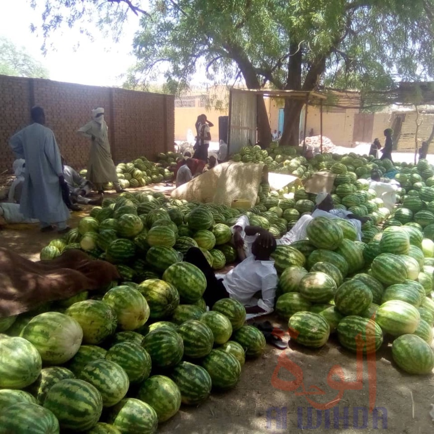 Tchad : "Jusque-là, il y a des gens qui mettent en doute la présence du coronavirus". © Abba Issa/Alwihda Info Tchad : "Jusque-là, il y a des gens qui mettent en doute la présence du coronavirus". © Abba Issa/Alwihda Info