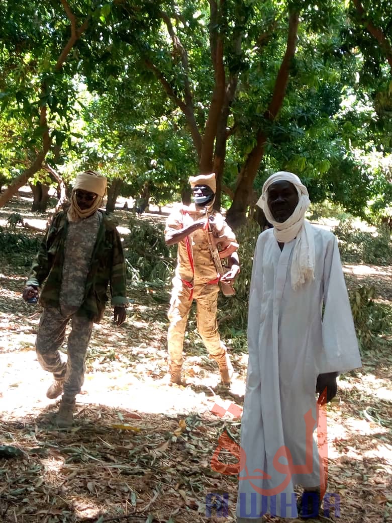 Tchad : au Guéra, importants dégâts dans un village après des intempéries