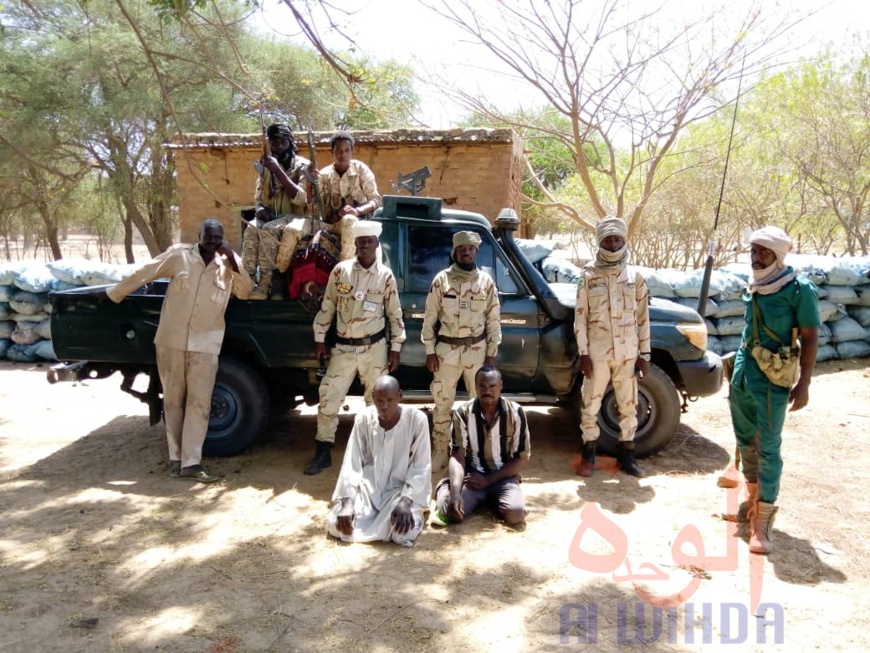 Tchad : au Sila, la garde forestière fait une importante saisie de charbon et bois. © Mahamat Issa Gadaya/Alwihda Info