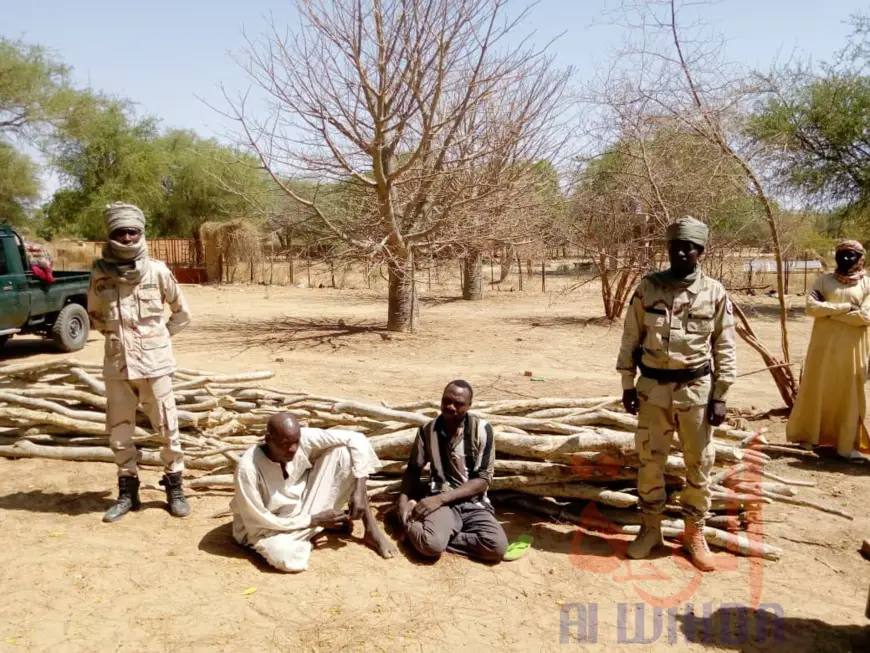 Tchad : au Sila, la garde forestière fait une importante saisie de charbon et bois. © Mahamat Issa Gadaya/Alwihda Info