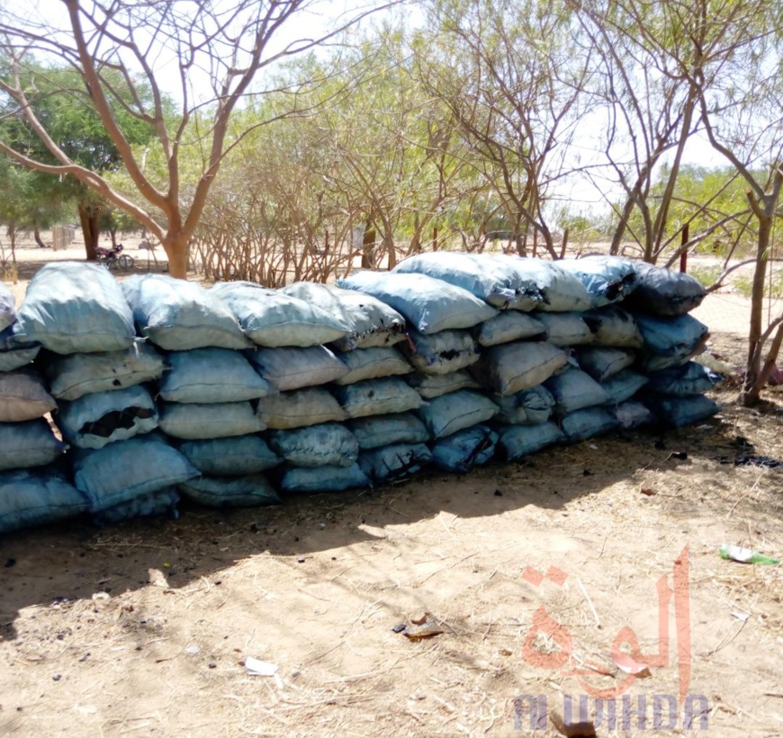 Tchad : au Sila, la garde forestière fait une importante saisie de charbon et bois. © Mahamat Issa Gadaya/Alwihda Info