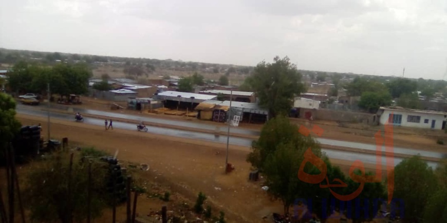 Tchad : de la pluie ce samedi dans certains endroits de N'Djamena Tchad : de la pluie ce samedi dans certains endroits de N'Djamena