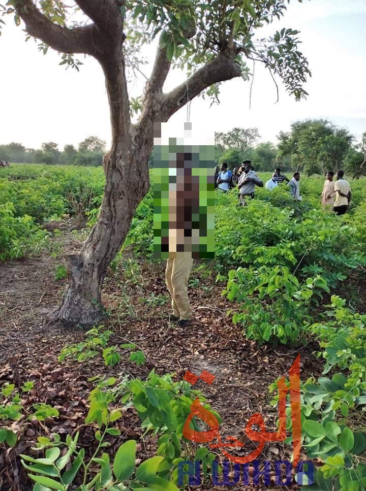 Un jeune homme pendu à un arbre à Kélo. © Denis Mbairemadji Axel/Alwihda Info