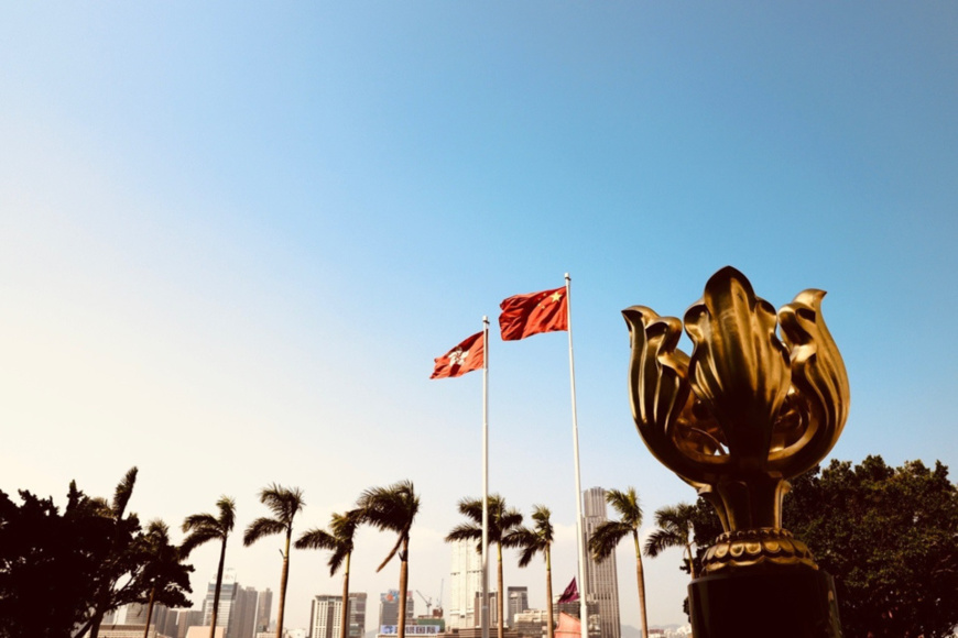 Passing national security law in HK shows central government’s determination: expert