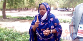 Tchad : l'heure de la récolte pour les jardins potagers du projet AyA Tchad : l'heure de la récolte pour les jardins potagers du projet AyA