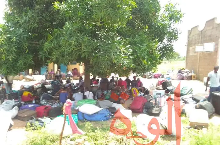 Tchad : près de 600 étudiants bloqués à Koutéré, tractations en cours avec le Cameroun. © Golmen Ali/Alwihda Info