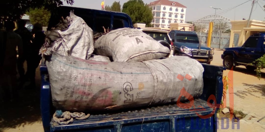 Tchad : saisie de plusieurs armes de guerre et arrestation de présumés malfrats. © Mahamat Abdramane Ali Kitire/Alwihda Info Tchad : saisie de plusieurs armes de guerre et arrestation de présumés malfrats. © Mahamat Abdramane Ali Kitire/Alwihda Info
