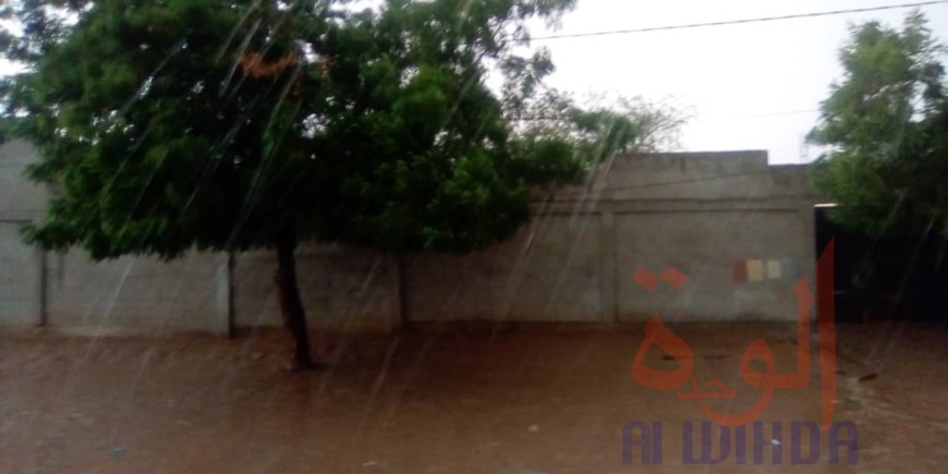 Tchad : une forte pluie et du vent à N'Djamena Tchad : une forte pluie et du vent à N'Djamena