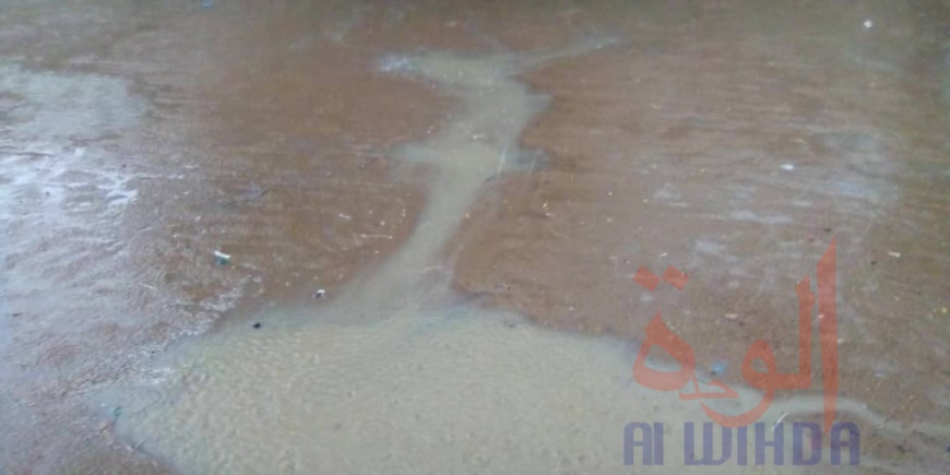 Tchad : une forte pluie et du vent à N'Djamena Tchad : une forte pluie et du vent à N'Djamena