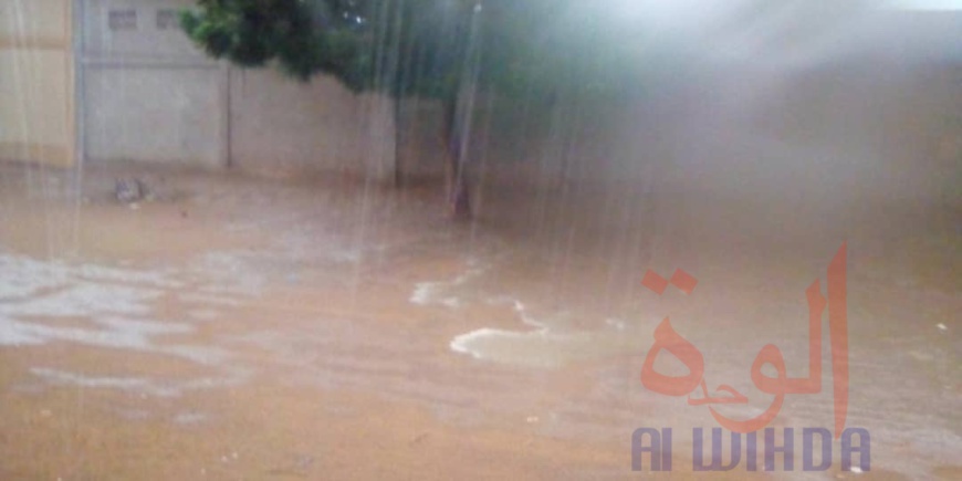 Tchad : une forte pluie et du vent à N'Djamena Tchad : une forte pluie et du vent à N'Djamena