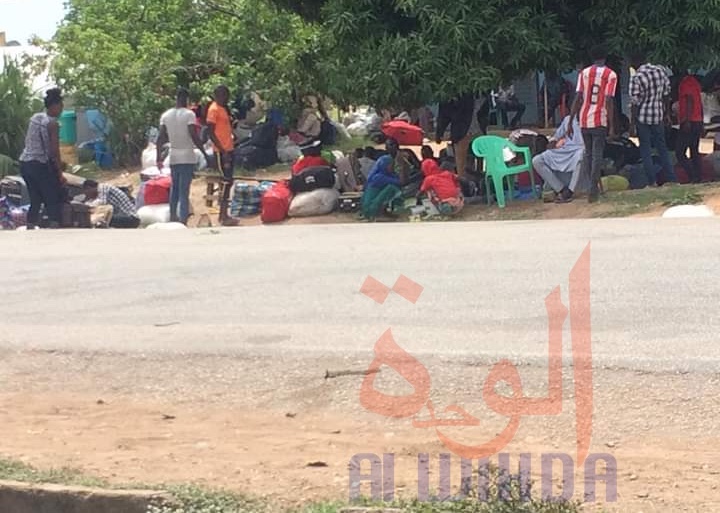 Tchad : à Koutéré, la grande attente et le calvaire pour les étudiants tchadiens du Cameroun