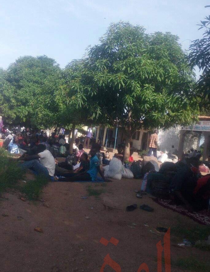 Tchad : à Koutéré, la grande attente et le calvaire pour les étudiants tchadiens du Cameroun