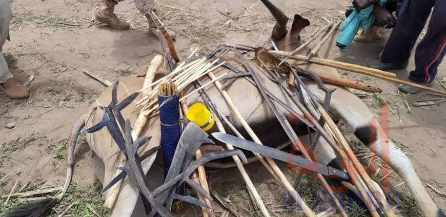 Tchad : deux antilopes chevalines tuées à Kélo, 58 arrestations. © Denis Mbairemadji Axel/Alwihda Info