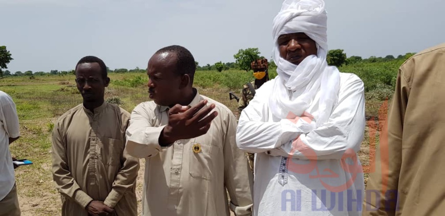 Tchad : deux antilopes chevalines tuées à Kélo, 58 arrestations. © Denis Mbairemadji Axel/Alwihda Info