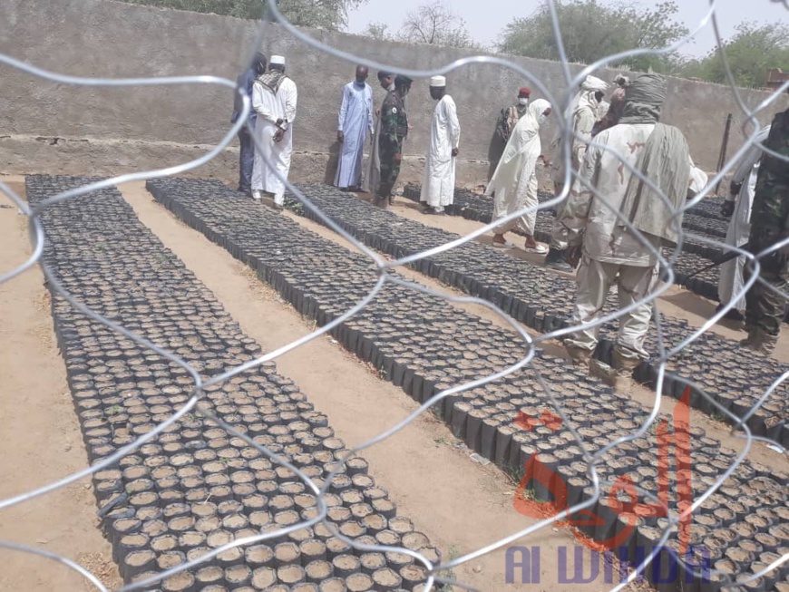 Tchad : en province, une mutualisation d'efforts pour protéger l'environnement. © Alwihda Info/Alwihda Info Tchad : en province, une mutualisation d'efforts pour protéger l'environnement. © Alwihda Info/Alwihda Info