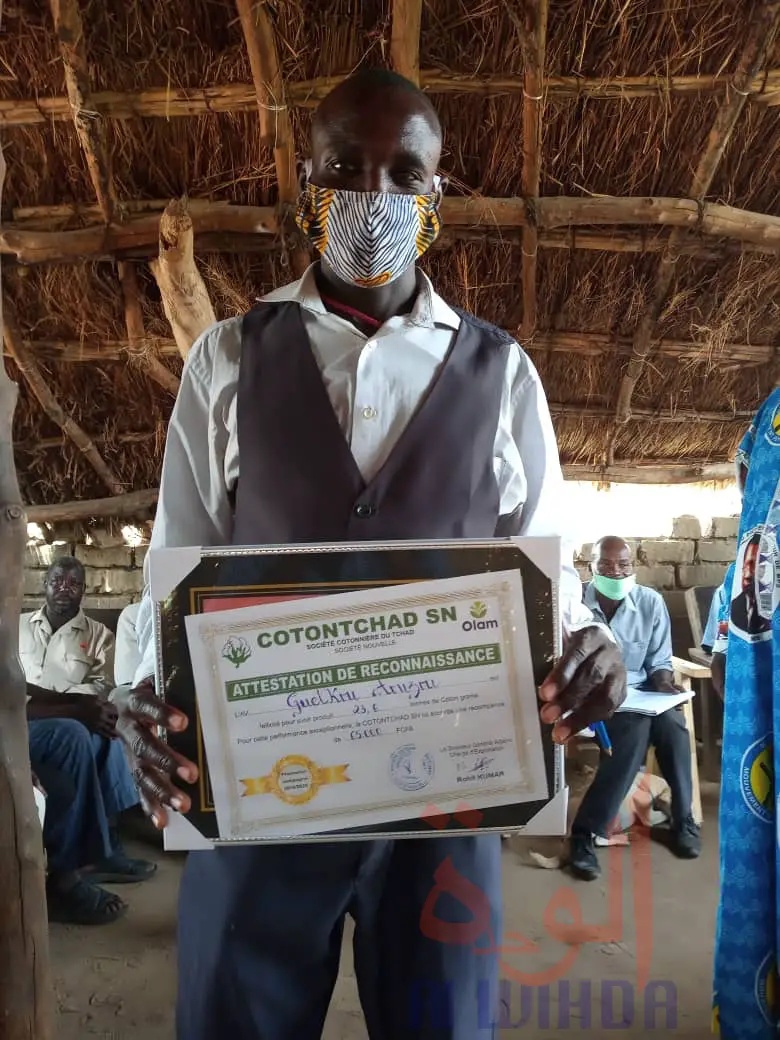 Tchad : meilleurs rendements de coton, 473 associations villageoises seront primées