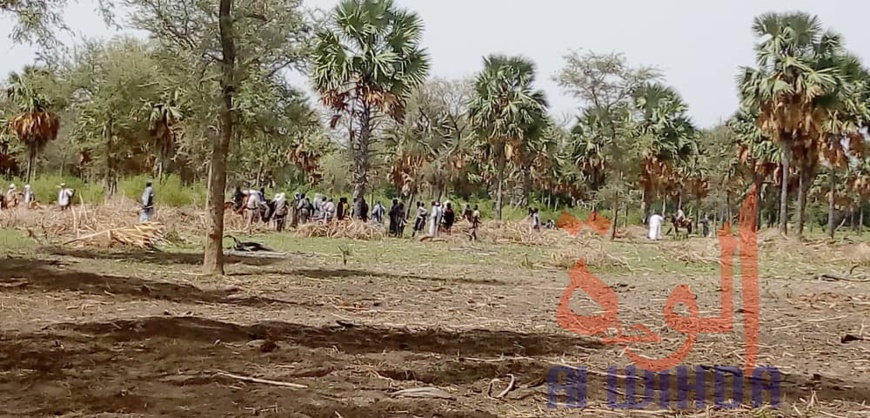 Tchad : 2 morts et 13 blessés dans un conflit près de Laï. © Éric Guedi/Alwihda Info Tchad : 2 morts et 13 blessés dans un conflit près de Laï. © Éric Guedi/Alwihda Info