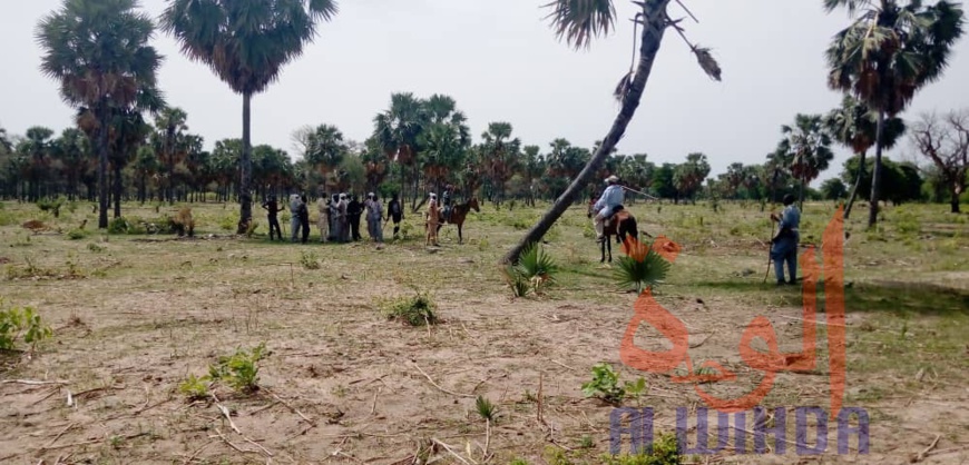 Tchad : 2 morts et 13 blessés dans un conflit près de Laï. © Éric Guedi/Alwihda Info Tchad : 2 morts et 13 blessés dans un conflit près de Laï. © Éric Guedi/Alwihda Info