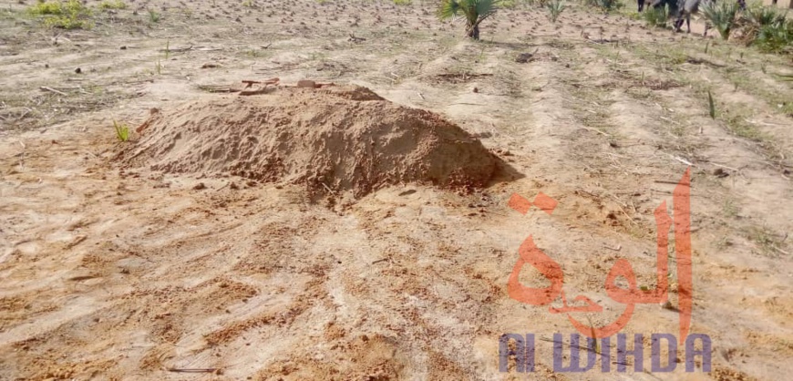 Tchad : 2 morts et 13 blessés dans un conflit près de Laï. © Éric Guedi/Alwihda Info Tchad : 2 morts et 13 blessés dans un conflit près de Laï. © Éric Guedi/Alwihda Info