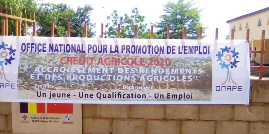 Tchad : L’ONAPE octroie des crédits agricoles à Pala dans le Mayo Kebbi Ouest : ©️ Foka Mapagne/Alwihda Info Tchad : L’ONAPE octroie des crédits agricoles à Pala dans le Mayo Kebbi Ouest : ©️ Foka Mapagne/Alwihda Info
