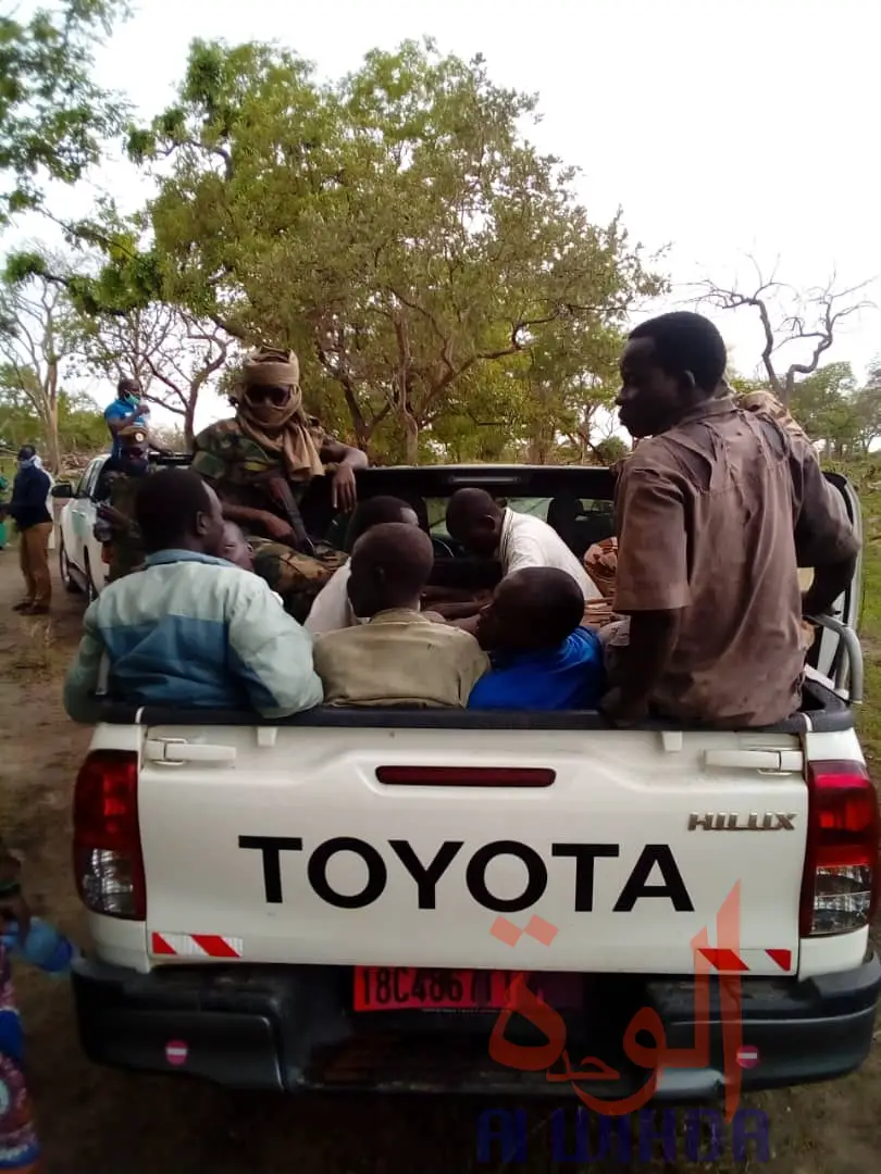 Tchad : ​plus d'une vingtaine de personnes arrêtées pour défrichages au Mayo Kebbi Ouest. © Foka Mapagne/Alwihda Info
