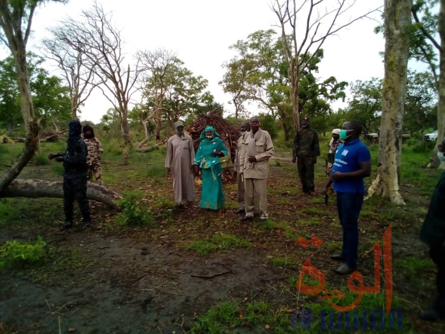 Tchad : plus d'une vingtaine de personnes arrêtées pour défrichages au Mayo Kebbi Ouest. © Foka Mapagne/Alwihda Info Tchad : plus d'une vingtaine de personnes arrêtées pour défrichages au Mayo Kebbi Ouest. © Foka Mapagne/Alwihda Info