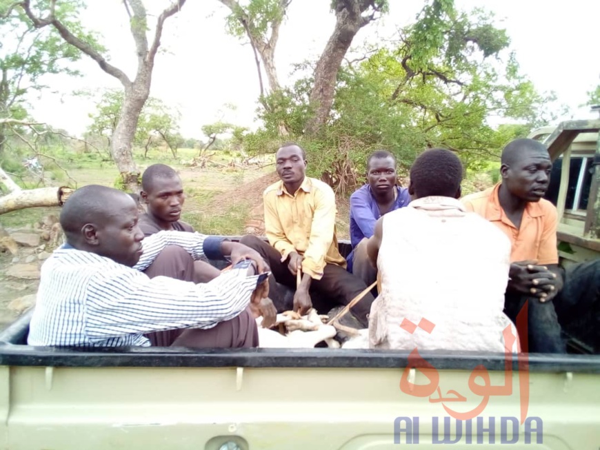 Tchad : plus d'une vingtaine de personnes arrêtées pour défrichages au Mayo Kebbi Ouest. © Foka Mapagne/Alwihda Info Tchad : plus d'une vingtaine de personnes arrêtées pour défrichages au Mayo Kebbi Ouest. © Foka Mapagne/Alwihda Info