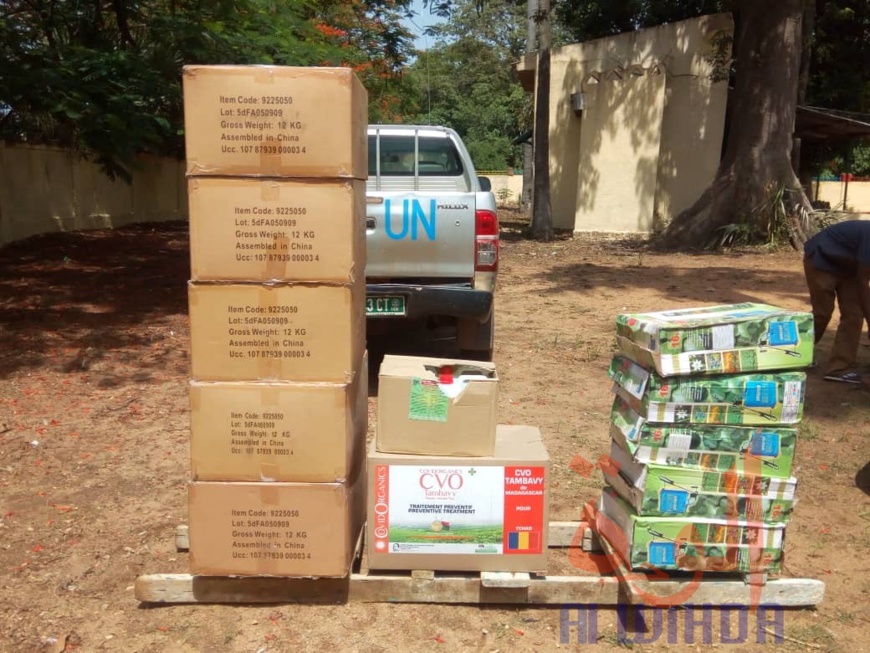 Tchad : Le Covid-Organics réceptionné à Moundou Tchad : Le Covid-Organics réceptionné à Moundou