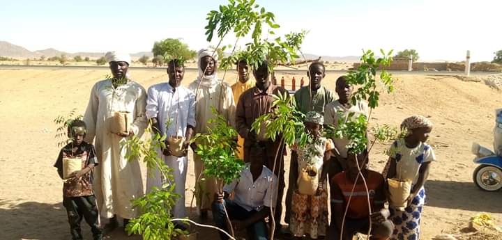 Tchad : à Batouma, près d'Abéché, une opération de reboisement dans un village. Tchad : à Batouma, près d'Abéché, une opération de reboisement dans un village.
