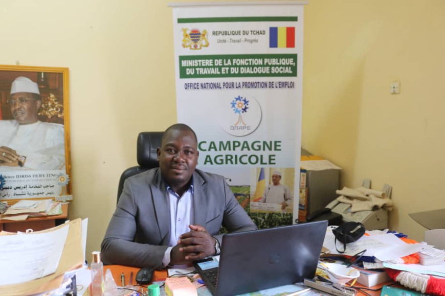 Tchad : financements agricoles de l'ONAPE, un appui de taille pour les paysans Tchad : financements agricoles de l'ONAPE, un appui de taille pour les paysans