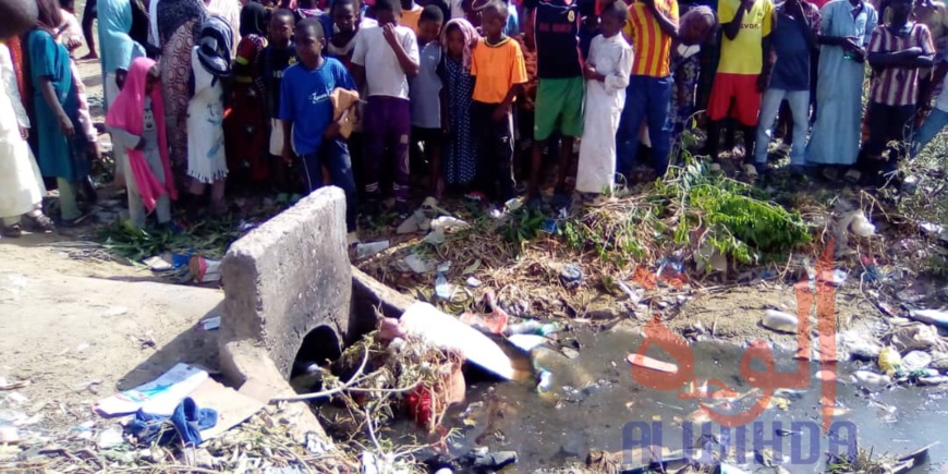 Tchad : à N'Djamena, le corps d'un nouveau-né retrouvé dans des déchets. © Mahamat Abderaman Ali Kitire/Alwihda Info Tchad : à N'Djamena, le corps d'un nouveau-né retrouvé dans des déchets. © Mahamat Abderaman Ali Kitire/Alwihda Info