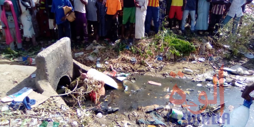 Tchad : à N'Djamena, le corps d'un nouveau-né retrouvé dans des déchets. © Mahamat Abderaman Ali Kitire/Alwihda Info Tchad : à N'Djamena, le corps d'un nouveau-né retrouvé dans des déchets. © Mahamat Abderaman Ali Kitire/Alwihda Info