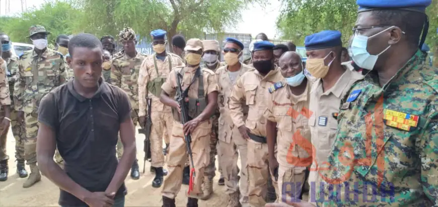 Tchad : d'importantes saisies d'armes de guerre par la gendarmerie