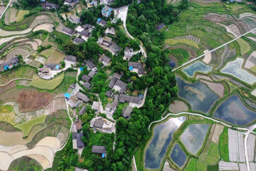 Photo taken on May 8 shows a beautiful image of the early summer in Lizi village, Taiji township, Qianjiang district, Chongqing municipality. Photo by Yang Min/ People’s Daily Online