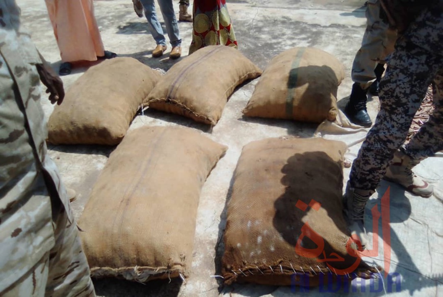 Tchad : au Logone Oriental, des armes et munitions saisies lors d'une course-poursuite. © Frédéric Ngardodim/Alwihda Info Tchad : au Logone Oriental, des armes et munitions saisies lors d'une course-poursuite. © Frédéric Ngardodim/Alwihda Info