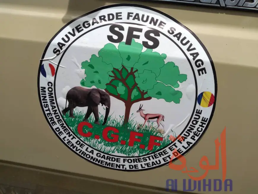 Tchad : la Garde forestière et faunique met la main sur des braconniers