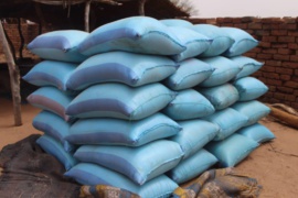 Tchad : des villages victimes d'incendies secourus au Ouaddaï Tchad : des villages victimes d'incendies secourus au Ouaddaï