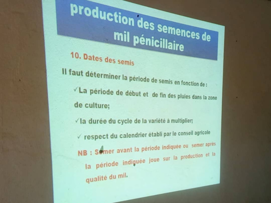 Tchad : des producteurs du Lac et du Hadjer Lamis se renforcent pour des semences de qualité Tchad : des producteurs du Lac et du Hadjer Lamis se renforcent pour des semences de qualité
