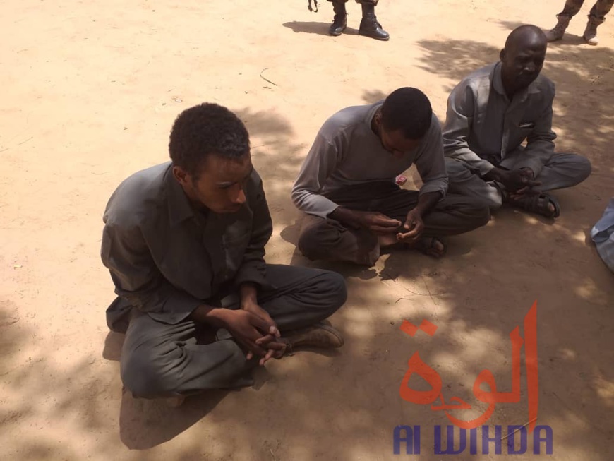 Tchad : des cartouches d'armes saisies près de la frontière avec le Soudan. © Mahamat Issa Gadaya/Alwihda Info Tchad : des cartouches d'armes saisies près de la frontière avec le Soudan. © Mahamat Issa Gadaya/Alwihda Info