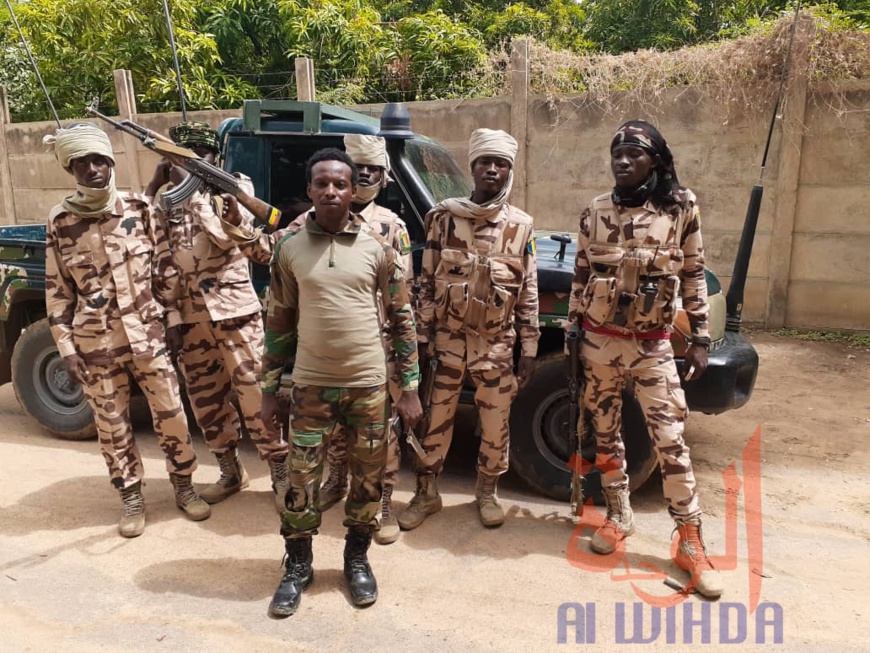 Tchad : des animaux sauvages empoisonnés et vendus, trois individus arrêtés à N'Djamena Tchad : des animaux sauvages empoisonnés et vendus, trois individus arrêtés à N'Djamena