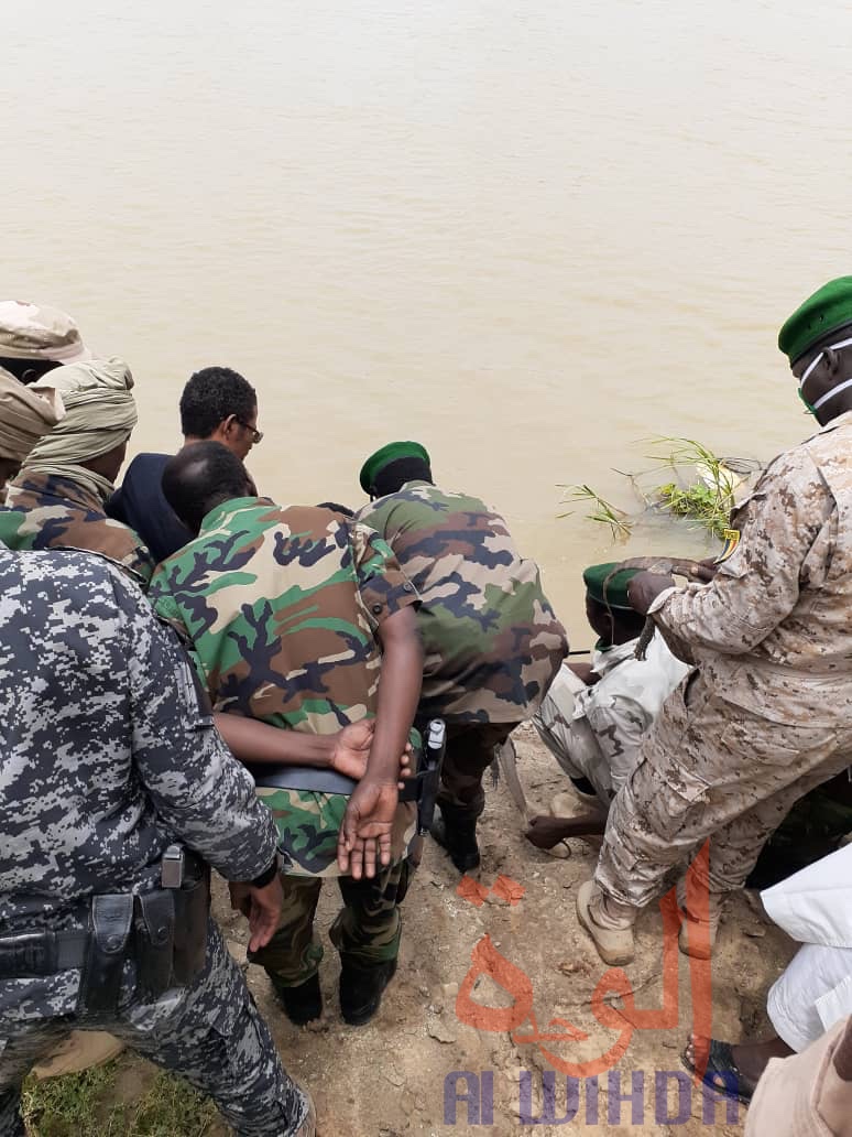 Tchad : des animaux sauvages empoisonnés et vendus, trois individus arrêtés à N'Djamena