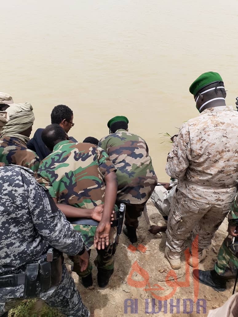 Tchad : des animaux sauvages empoisonnés et vendus, trois individus arrêtés à N'Djamena Tchad : des animaux sauvages empoisonnés et vendus, trois individus arrêtés à N'Djamena