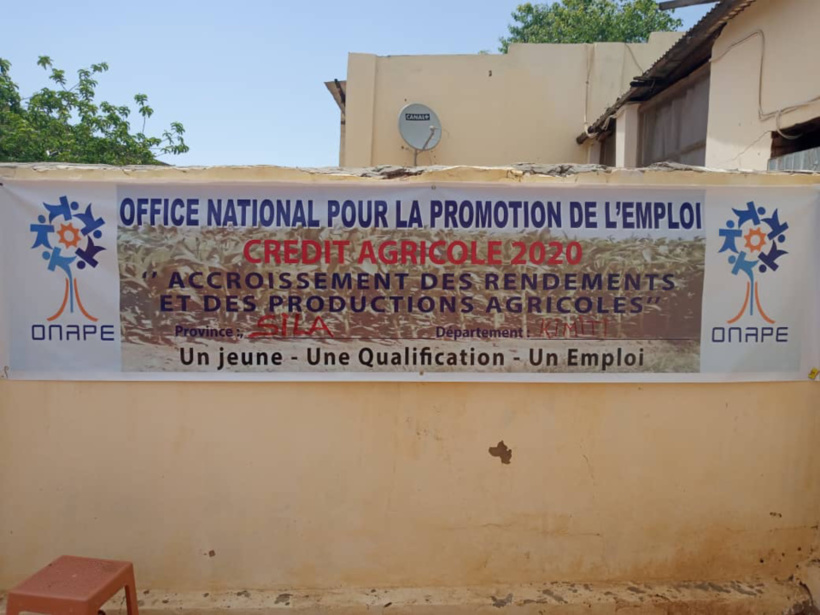 Tchad : au Sila, l’ONAPE remet des crédits agricoles pour renforcer la production Tchad : au Sila, l’ONAPE remet des crédits agricoles pour renforcer la production