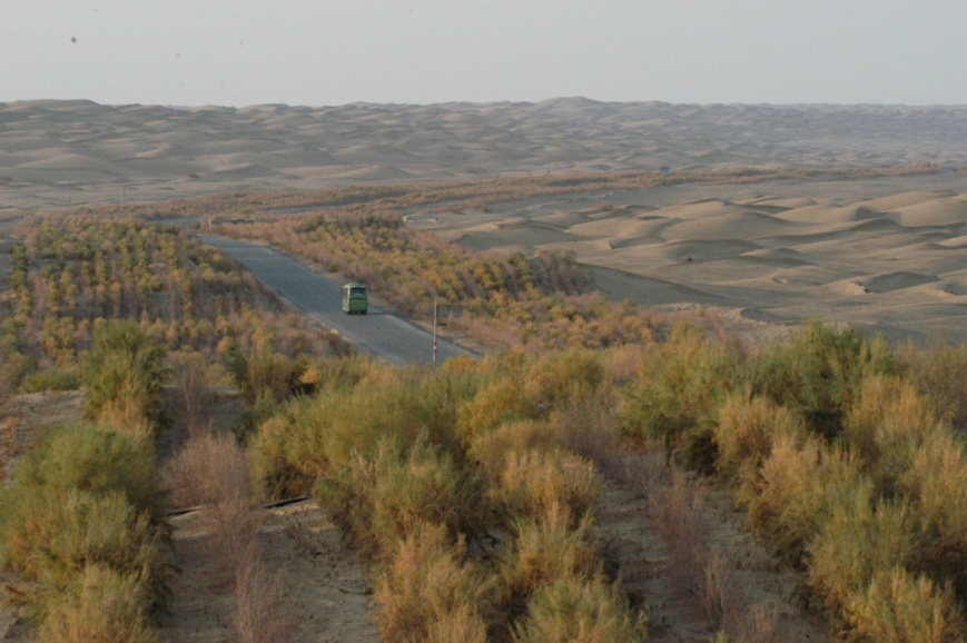 Photo shows the shelter forest project that protects the highway from the desert. (People's Daily Online)