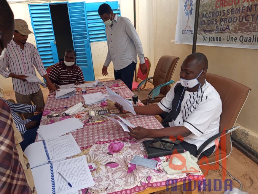 Tchad : au Sila, 1529 porteurs de projets bénéficient d'un financement de l'ONAPE Tchad : au Sila, 1529 porteurs de projets bénéficient d'un financement de l'ONAPE