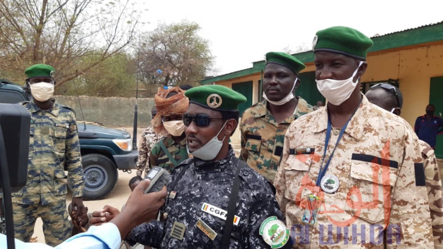 Tchad : braconnage d'espèces protégées, sept individus arrêtés au Ouaddaï