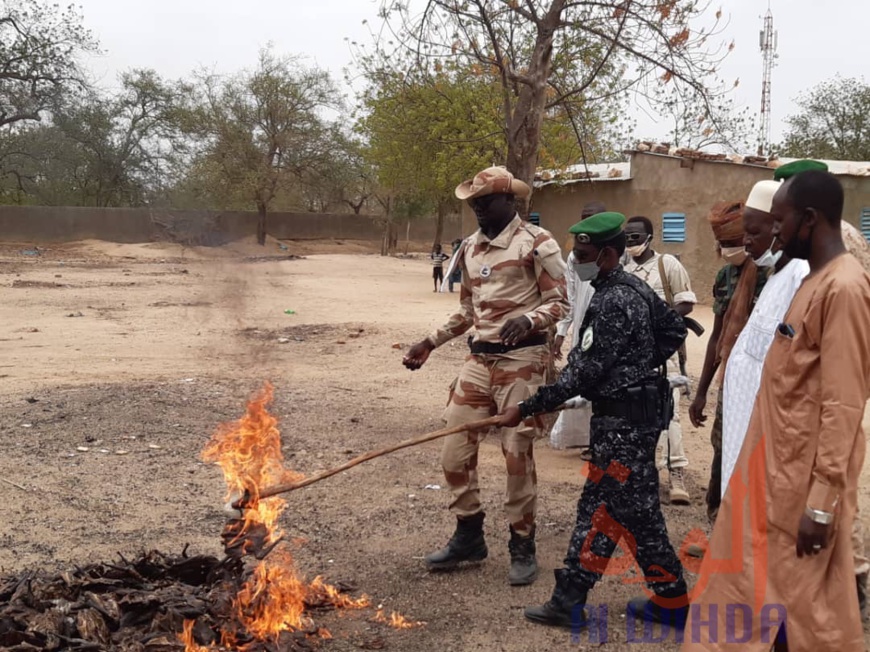 Tchad : braconnage d'espèces protégées, sept individus arrêtés au Ouaddaï