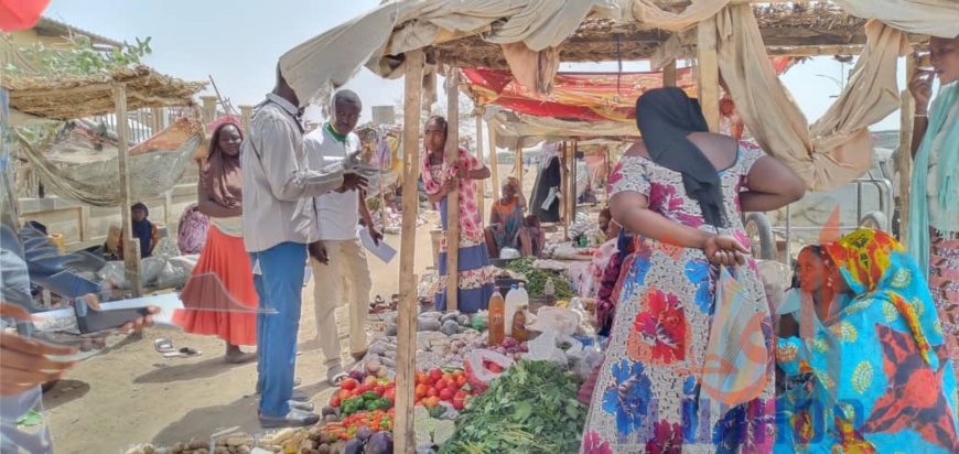 Tchad : l'Assemblée nationale appelle à la diversification "urgente" de l'économie